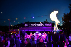 Coctails